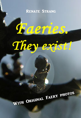 Cover "Faeries. They exist!"